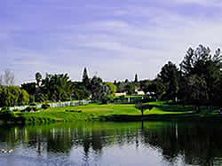 The golf course of Durbanville is a beautiful park landscape