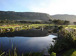 Hermanus Golf Course offers golfers of all levels a unique 18-hole golfing experience. 