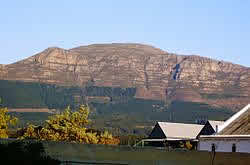 Constantiaberg, Cpae Town South Africa