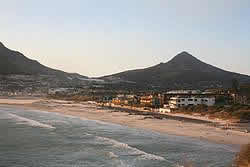 Hout Bay, Natutal attractions in Hout Bay, Cape Town NAtural Fauna and Flora