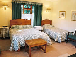 Loevensteyn Guesthouse provides all our guest with best accommodation to relax and unwind in peaceful luxury.