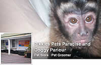 Pikkies Doggy Parlour