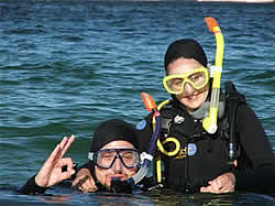 Cruise Sub Aqua, Scuba diving school in Gansbaai