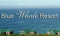 Blue Whale Resort Self-catering