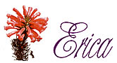Erica B&B and Self Catering