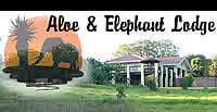 Aloe and Elephant Lodge