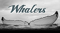 Whalers B&B in Hermasnus