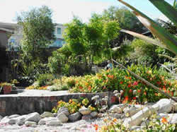Knysna Accommodation - Knysna B&B - Bougain-Villa B&B