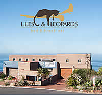 Lilies & Leopards B&B 