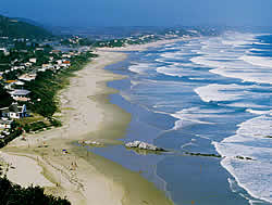 Cape Garden Route, MOssel Bay Information and Facts