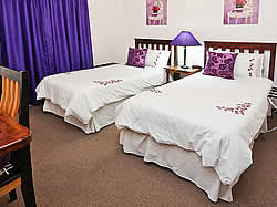 Best Little Guest House is a unique Bed and Breakfast situated in Oudtshoorn