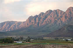 Information on Oudtshoorn