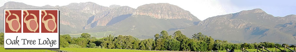 Oak Tree Lodge in Paarl