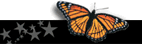 Butterfly Haven Self Catering ccommodation in Cape Town Hout Bay South Africa