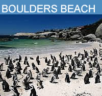 Boulders Beach