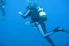 Scuba Diving Cape South Africa