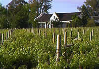 wine cellars in Cape Town