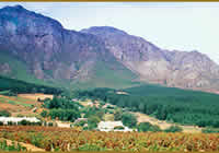 wine farsm in greater simonsberg